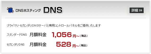 DNS:DNSサーバと専用コントロールパネルをご提供いたします。